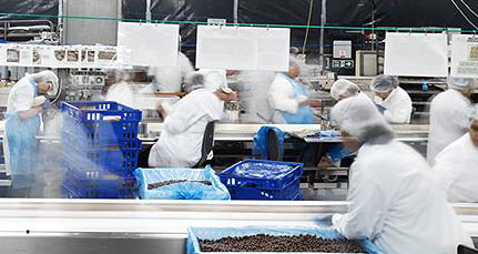 Bakery worker sacked after 17 years service for eating a nut on the  production line  Daily Mail Online